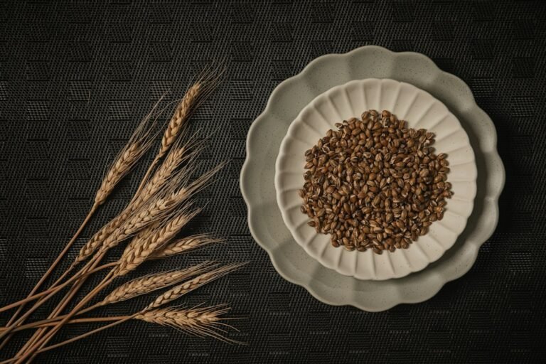 Plant-based protein foods with grains and seeds
