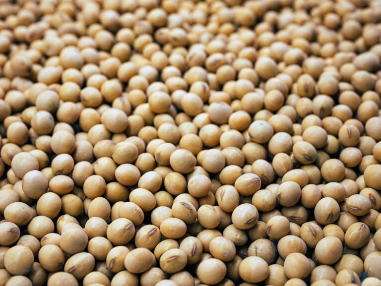 Close-up of soybeans illustrating the source of soy lecithin